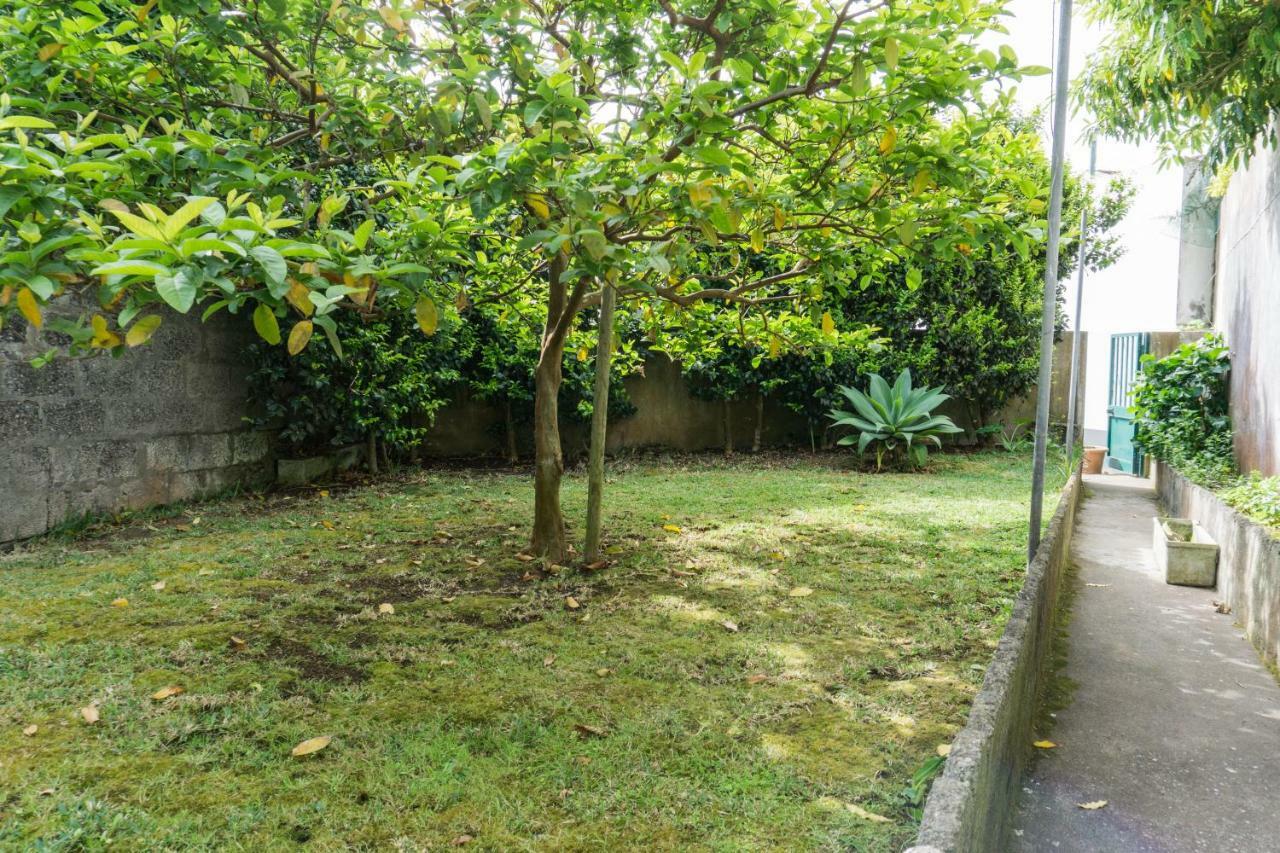 蓬塔德尔加达 Casa Da Tia Adilia酒店 外观 照片
